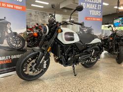 2024 Harley-Davidson X 500 X White