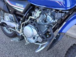 2023 Yamaha AG125 AG Blue