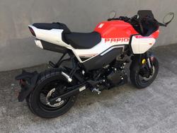 2024 CFMOTO
                XO Papio Racer 