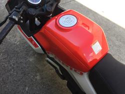 2024 CFMOTO
                XO Papio Racer 