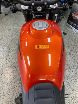 2024 Harley-Davidson X 500 X Orange