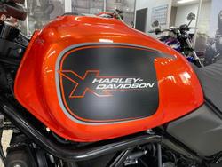 2024 Harley-Davidson X 500 X Orange