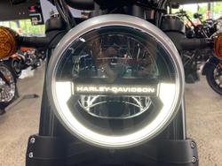 2024 Harley-Davidson X 500 X Orange
