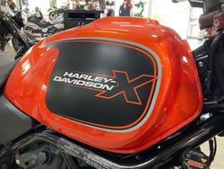 2024 Harley-Davidson X 500 X Orange