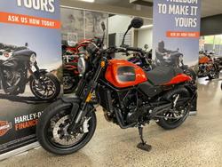2024 Harley-Davidson X 500 X Orange