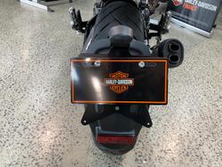 2024 Harley-Davidson X 500 X Orange