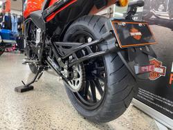2024 Harley-Davidson X 500 X Orange
