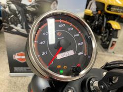 2024 Harley-Davidson X 350 X Orange