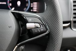 2024 SKODA
                Karoq 110TSI Style