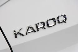 2024 SKODA
                Karoq 110TSI Style