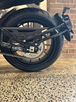 2024 Harley-Davidson X 500 X Black