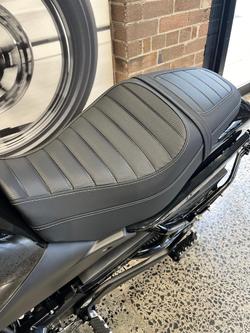 2024 Harley-Davidson X 500 X Black