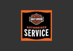 2024 Harley-Davidson X 500 X Black