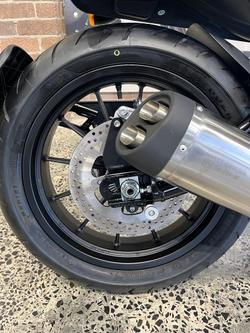 2024 Harley-Davidson X 500 X Black