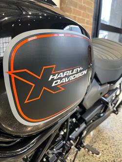 2024 Harley-Davidson X 500 X Black