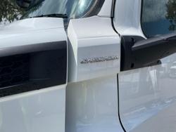 2023 Freightliner Cascadia 116 White