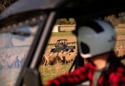 2023 CFMOTO UFORCE 600 EPS TREK TREK Edition Tactical Green