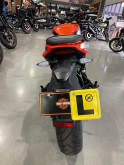 2024 Harley-Davidson X 350 X Orange