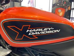 2024 Harley-Davidson X 350 X Orange