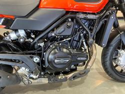 2024 Harley-Davidson X 500 X Orange