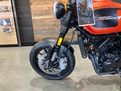 2024 Harley-Davidson X 500 X Orange