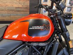 2024 Harley-Davidson X 500 X Orange