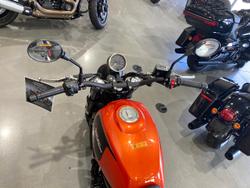 2024 Harley-Davidson X 500 X Orange