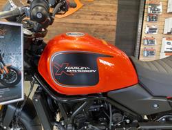 2024 Harley-Davidson X 500 X Orange