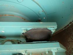 2011 Ammann Asc150d Smooth Drum