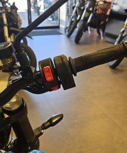 2025 Triumph Speed Twin 900 Speed Twin Orange