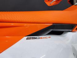 2024 KTM 250 EXC-F EXC-F Orange