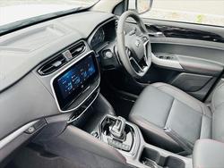 2024 LDV
                T60 MAX LUXE MEGATUB
