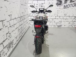 2024 Triumph Tiger 900 Rally Pro Tiger Grey