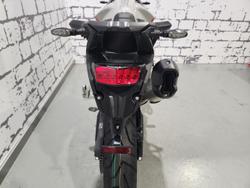 2024 Triumph Tiger 900 Rally Pro Tiger Grey