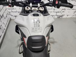2024 Triumph Tiger 900 Rally Pro Tiger Grey