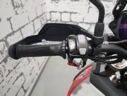 2024 Triumph Tiger 900 Rally Pro Tiger Grey