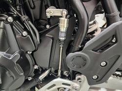 2024 Triumph Tiger 900 Rally Pro Tiger Grey