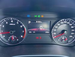 2024 Kia
                Cerato GT