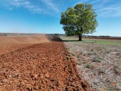 0 Baldan Crsg 48 Plate Rigid Offset Disc New