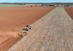 0 Baldan Crsg 48 Plate Rigid Offset Disc New