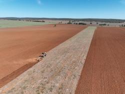 0 Baldan Crsg 48 Plate Rigid Offset Disc New