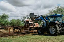 Landini
Landforce 125 Cab