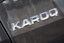 2024 SKODA
                Karoq 110TSI