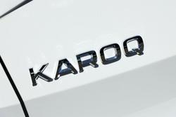 2024 SKODA
Karoq 110TSI