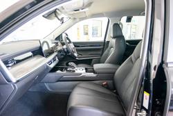 2025 GWM
Cannon Alpha Lux PHEV