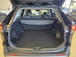 2024 Toyota RAV4 Cruiser