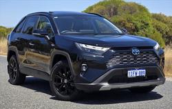 2024 Toyota RAV4 Cruiser