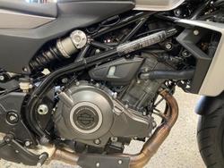 2024 Harley-Davidson X 350 X Silver