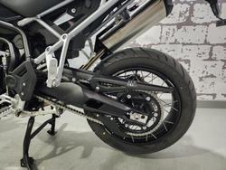 2025 Triumph Tiger 900 Rally Pro Tiger Black