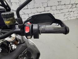 2025 Triumph Tiger 900 Rally Pro Tiger Black